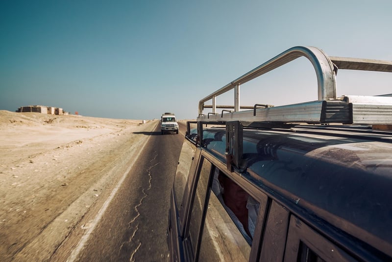 Safari Adventure